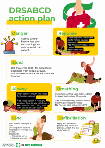 DRSABCD | First Aid Basics: The 7 Steps of First Aid | BLS